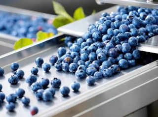 Food Manufacturing & Handling